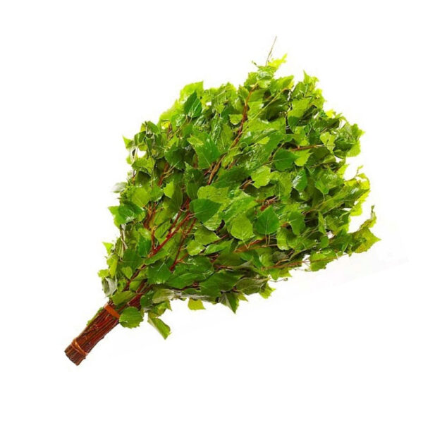 venik-berezovyj-v-individual-noj-upakovke