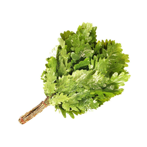 venik-dubovyj-v-individual-noj-upakovke