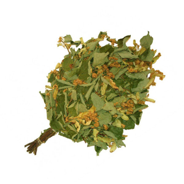 venik-lipovyj-v-individual-noj-upakovke